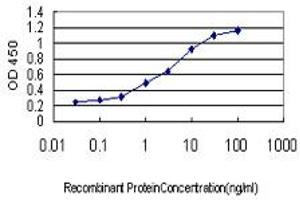 Detection limit for recombinant GST tagged PITX2 is approximately 0. (PITX2 antibody  (AA 1-324))