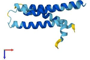 AlphaFold protein structure predicition of Mouse Recombinant Tmem203 Protein, UniprotID Q8R235 (TMEM203 Protein (AA 1-136) (His tag))