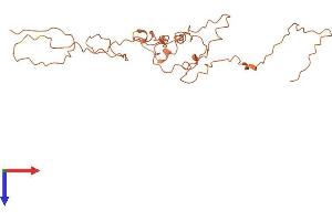 Keratin Associated Protein 10-12 (KRTAP10-12) (AA 1-245) protein (His tag)