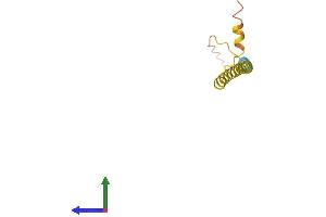 AlphaFold protein structure predicition of Human Recombinant LINC00523 Protein, UniprotID Q86TU6 (C14orf70 Protein (AA 1-105) (His tag))