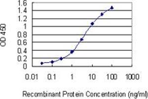 Detection limit for recombinant GST tagged RNF186 is 0. (RNF186 antibody  (AA 75-150))