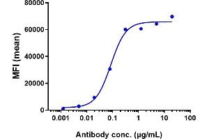 Human CD19 HEK293 cells were stained with Anti-CD19 Reference Antibody (tafasitamab) and negative control protein respectively, washed and then followed by PE and analyzed with FACS, EC50=0. (Recombinant CD19 (Tafasitamab Biosimilar) antibody)