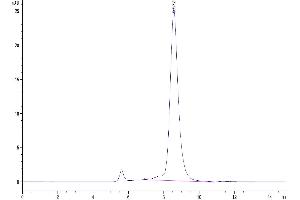 The purity of Human GP1BB is greater than 95 % as determined by SEC-HPLC. (GP1BB Protein (AA 27-147) (Fc Tag))