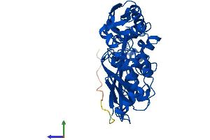 AlphaFold protein structure predicition of Mouse Recombinant Mat1a Protein, UniprotID Q91X83