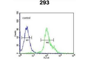Flow cytometric analysis of 293 cells using NXPH1 Antibody (N-term) Cat. (Neurexophilin 1 antibody  (N-Term))