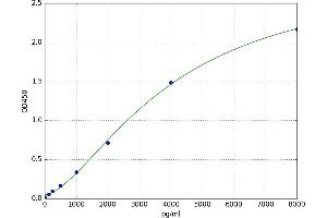Suppressor of Cytokine Signaling 2 (SOCS2) ELISA Kit