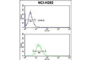 PDIA3 Antibody (C-term) (ABIN389464 and ABIN2839529) flow cytometric analysis of NCI- cells (bottom histogram) compared to a negative control cell (top histogram). (PDIA3 antibody  (C-Term))