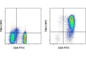 Image no. 1 for anti-Hepatitis A Virus Cellular Receptor 2 (TIM 3) antibody (APC) (ABIN476421) (TIM3 antibody  (APC))