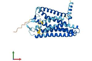 AlphaFold protein structure predicition of Human Recombinant OR8H2 Protein, UniprotID Q8N162 (OR8H2 Protein (AA 1-312) (His tag))