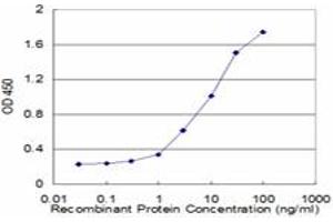Detection limit for recombinant GST tagged IFNA6 is approximately 0. (IFNA6 antibody  (AA 100-189))