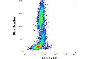 Flow cytometry surface staining pattern of human peripheral whole blood stained using anti-human CD267 (1A1) PE antibody (10 μL reagent / 100 μL of peripheral whole blood).