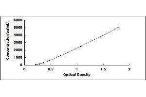 Typical standard curve (MTA2 ELISA Kit)