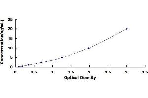 Typical standard curve (Claudin 6 ELISA Kit)