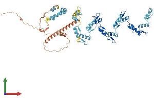 AlphaFold protein structure predicition of Human Recombinant ZNF273 Protein, UniprotID Q14593
