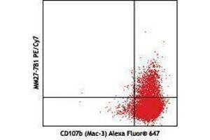 Flow Cytometry (FACS) image for anti-Interleukin 27 (IL27) antibody (PE-Cy7) (ABIN2659372) (IL-27 antibody  (PE-Cy7))