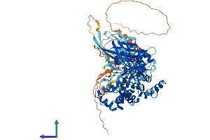 AlphaFold protein structure predicition of Mouse Recombinant Rabgap1l Protein, UniprotID A6H6A9