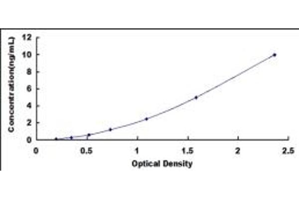 Septin 6 ELISA Kit