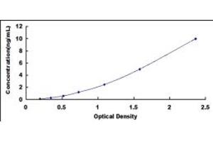 Typical standard curve (Septin 6 ELISA Kit)
