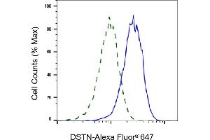 Validation of DSTN knockdown using flow cytometry. (Destrin antibody)