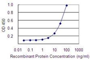 Detection limit for recombinant GST tagged RRAGB is 1 ng/ml as a capture antibody. (RRAGB antibody  (AA 1-346))