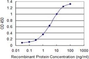 Detection limit for recombinant GST tagged PDE4DIP is 0. (PDE4DIP antibody  (AA 1-177))