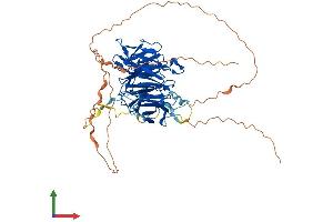 Protein Structure (PS) image for WD Repeat Containing, Antisense To TP53 (WRAP53) (AA 1-548) protein (His tag) (ABIN7556030)