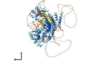 AlphaFold protein structure predicition of Human Recombinant RADIL Protein, UniprotID Q96JH8 (Radil Protein (AA 1-1075) (His tag))