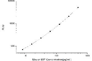 Typical standard curve (MIF CLIA Kit)