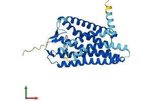 AlphaFold protein structure predicition of Human Recombinant OR1M1 Protein, UniprotID Q8NGA1 (OR1M1 Protein (AA 1-313) (His tag))