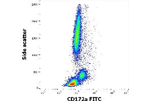 Flow cytometry surface staining pattern of human peripheral whole blood stained using anti-human CD172a (15-414) FITC antibody (4 μL reagent / 100 μL of peripheral whole blood). (SIRPA antibody  (FITC))