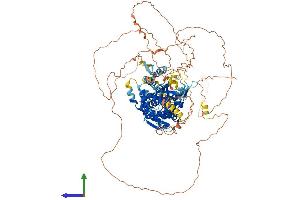 AlphaFold protein structure predicition of Mouse Recombinant Dennd2c Protein, UniprotID Q6P9P8 (DENND2C Protein (AA 1-914) (His tag))