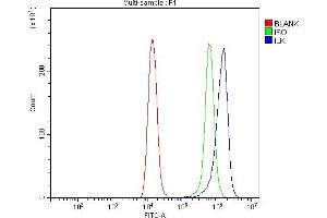 Flow Cytometry analysis of Raji cells using anti-Integrin Linked ILK antibody (ABIN7599411). (ILK antibody  (AA 1-452))
