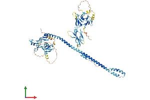 Protein Structure (PS) image for Tripartite Motif Containing 36 (TRIM36) (AA 1-728) protein (His tag) (ABIN7544798)