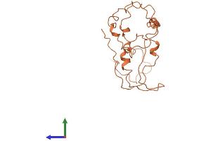 AlphaFold protein structure predicition of Human Recombinant KRTAP4-8 Protein, UniprotID Q9BYQ9 (KRTAP4-8 Protein (AA 1-185) (His tag))