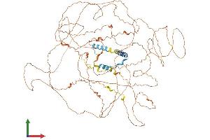 AlphaFold protein structure predicition of Human Recombinant C2orf78 Protein, UniprotID A6NCI8 (C2ORF78 Protein (AA 1-922) (His tag))