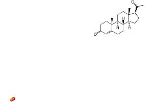 Image no. 1 for Progesterone ELISA Kit (ABIN577680) (Progesterone ELISA Kit)