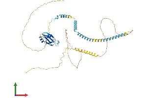 AlphaFold protein structure predicition of Human Recombinant UPF3A Protein, UniprotID Q9H1J1 (UPF3A Protein (AA 1-476) (His tag))