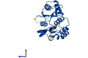 AlphaFold protein structure predicition of Human Recombinant DPH6 Protein, UniprotID Q7L8W6 (ATPBD4 Protein (AA 1-267) (His tag))
