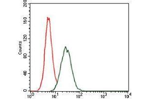 Flow cytometric analysis of HeLa cells using RAP1A mouse mAb (green) and negative control (red). (RAP1A antibody)