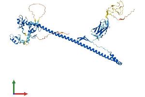 AlphaFold protein structure predicition of Mouse Recombinant Trim45 Protein, UniprotID Q6PFY8 (TRIM45 Protein (AA 1-580) (His tag))