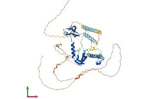 AlphaFold protein structure predicition of Mouse Recombinant Csrnp2 Protein, UniprotID Q8BGQ2