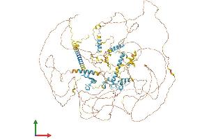 AlphaFold protein structure predicition of Human Recombinant ZC3H6 Protein, UniprotID P61129 (ZC3H6 Protein (AA 1-1189) (His tag))