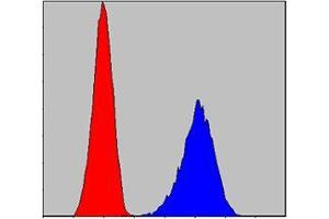 Flow cytometric analysis of PC-12 cells using anti-Pirh2 mAb (blue) and negative control (red). (RCHY1 antibody)