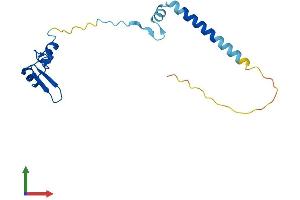 AlphaFold protein structure predicition of Mouse Recombinant Rpl24 Protein, UniprotID Q8BP67