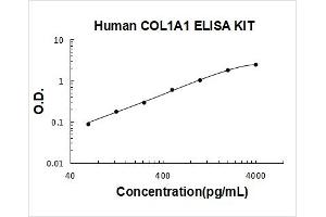 Typical Standard Curve