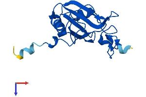 Nuclear Cap Binding Protein Subunit 2-Like (NCBP2L) (AA 1-153) protein (His tag)