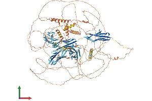 Protein Structure (PS) image for Myopalladin (MYPN) (AA 1-1320) protein (His tag) (ABIN7554663)