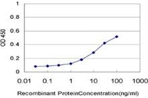 Detection limit for recombinant GST tagged PCAF is approximately 0. (KAT2B antibody  (AA 353-452))