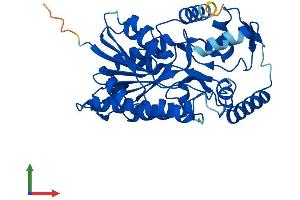 AlphaFold protein structure predicition of Human Recombinant HSD3B7 Protein, UniprotID Q9H2F3
