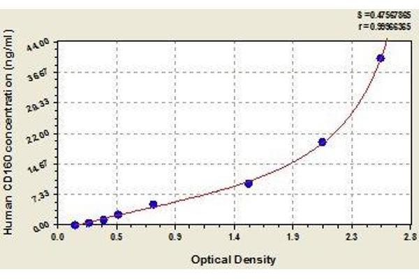 CD160 ELISA Kit